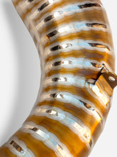 Upload the image to the Gallery viewer, Scarico DBR 50/100cc Superfast Bassa Titanium - DBR Factory